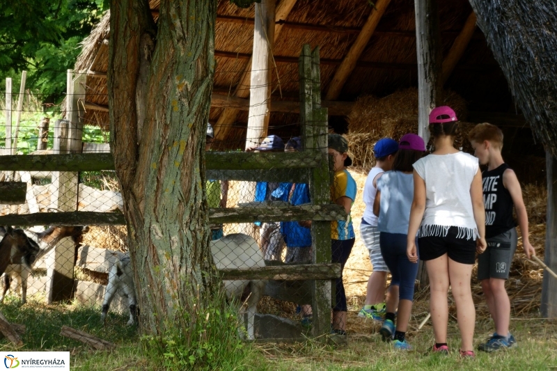 Nyári tábor a múzeumfaluban - fotó Szarka Lajos