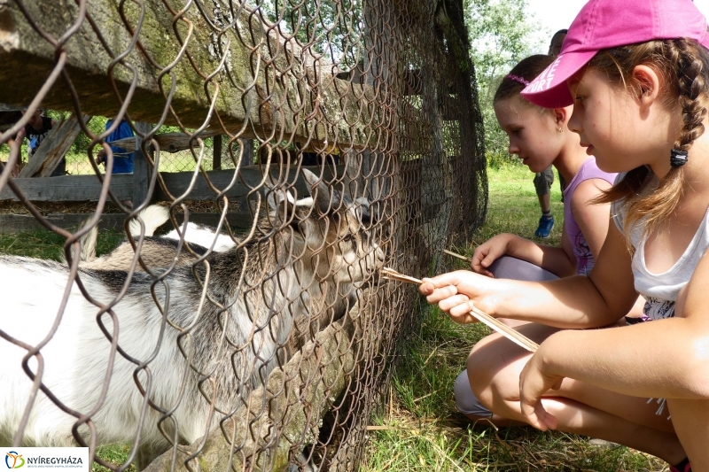 Nyári tábor a múzeumfaluban - fotó Szarka Lajos