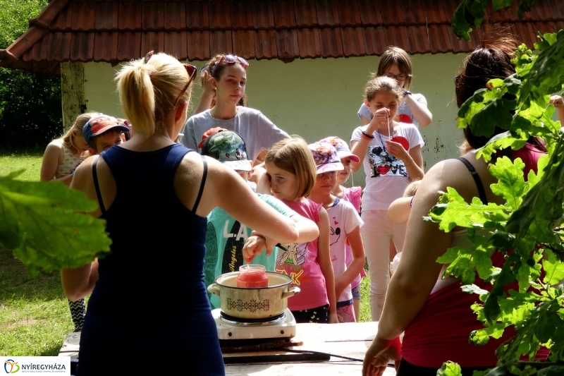 Nyári tábor a múzeumfaluban - fotó Szarka Lajos