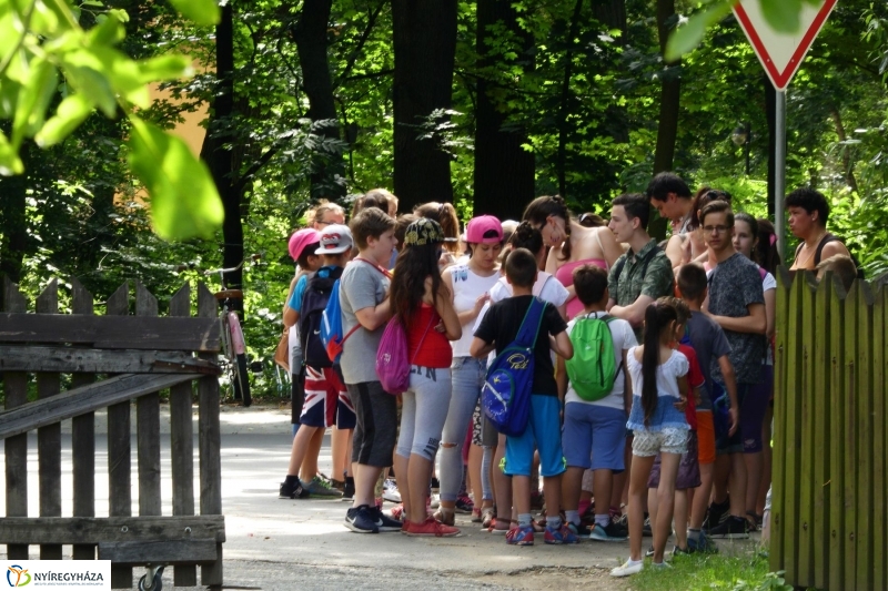 Nyári tábor a múzeumfaluban - fotó Szarka Lajos