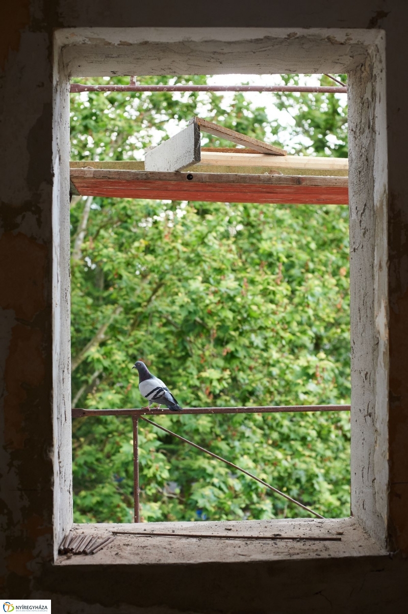 Felújítás a Bencs Villában - fotó Szarka Lajos
