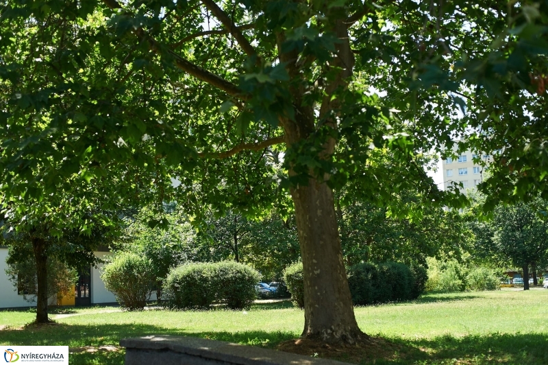 Jósaváros, Május 1 tér - fotó Szarka Lajos