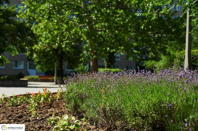 Jósaváros, Május 1 tér - fotó Szarka Lajos