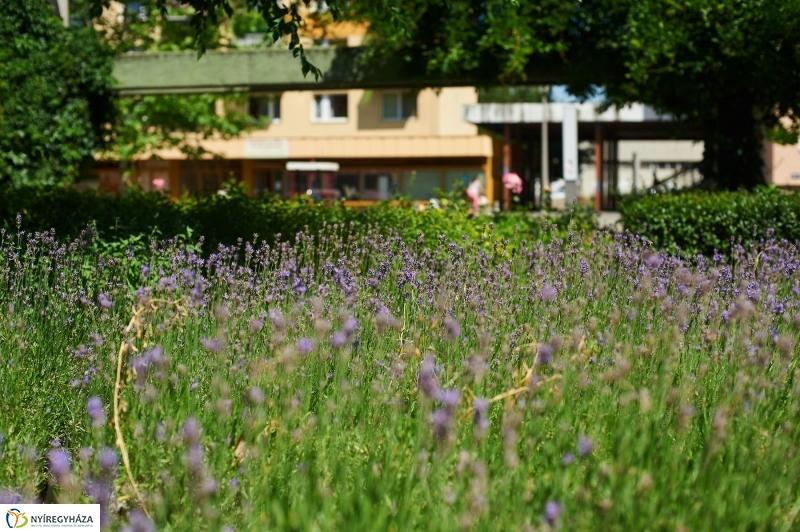 Jósaváros, Május 1 tér - fotó Szarka Lajos