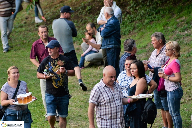 Zenith 50-jubileumi koncert Sóstón