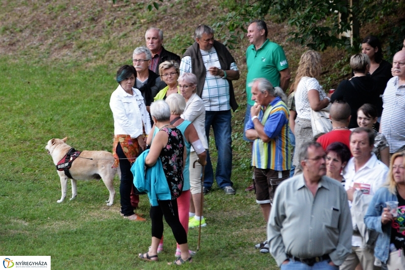 Zenith 50-jubileumi koncert Sóstón