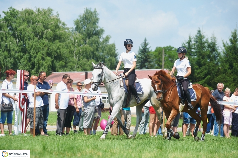 Országos Polgárőr Nap 2017  II - fotó Szarka Lajos