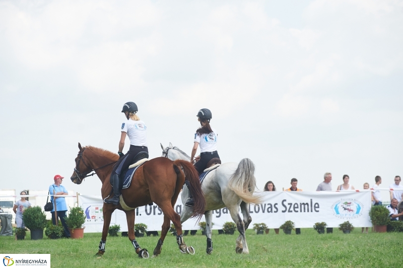 Országos Polgárőr Nap 2017  II - fotó Szarka Lajos