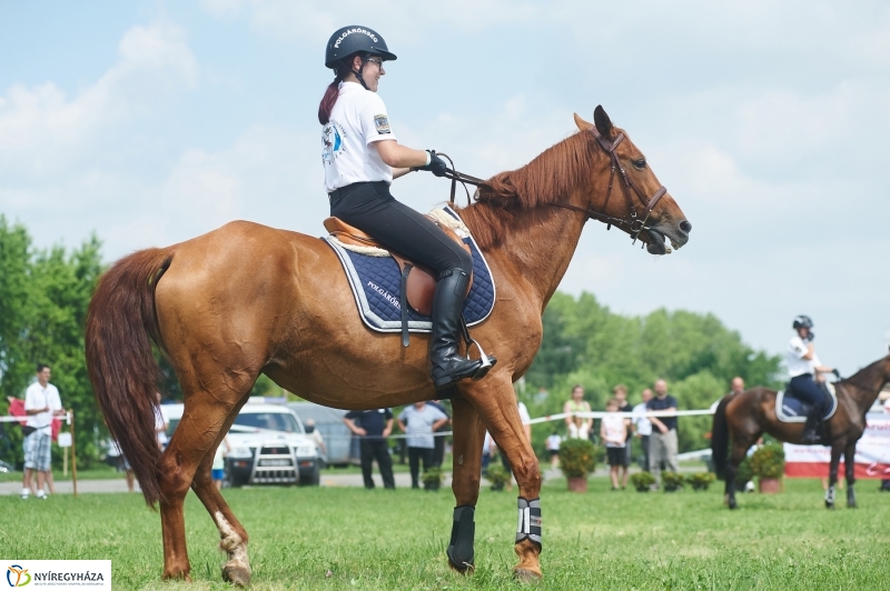 Országos Polgárőr Nap 2017  II - fotó Szarka Lajos