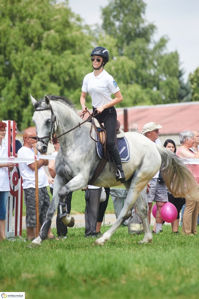 Országos Polgárőr Nap 2017  II - fotó Szarka Lajos