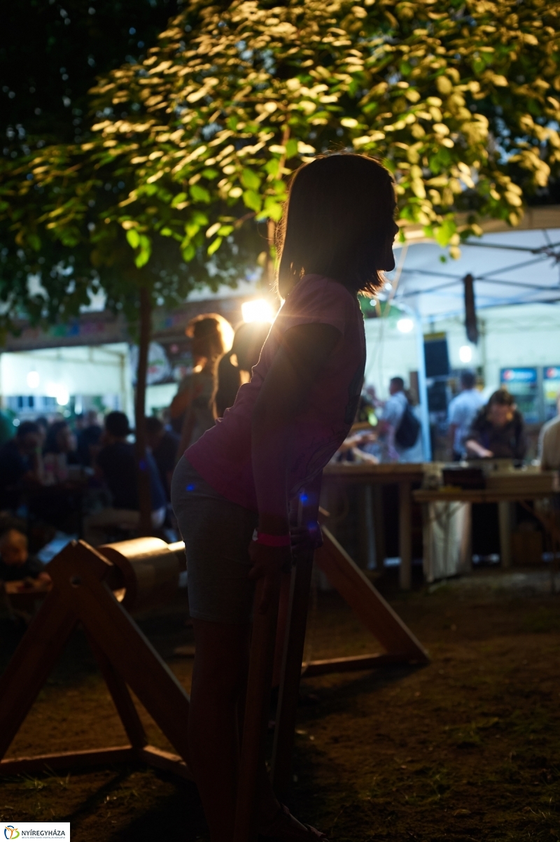 Múzeumok Éjszakája 2017 - fotó Szarka Lajos