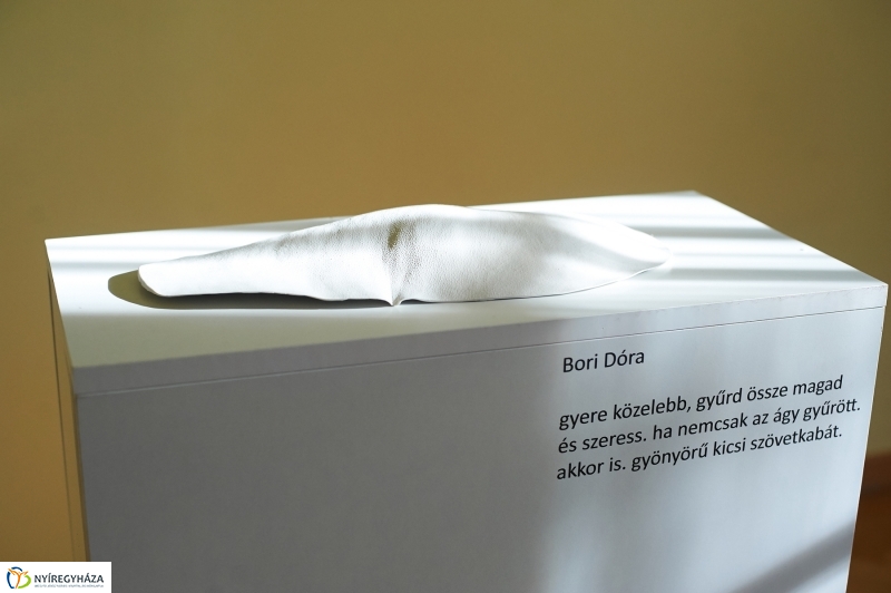 Múzeumok Éjszakája 2017 - fotó Szarka Lajos