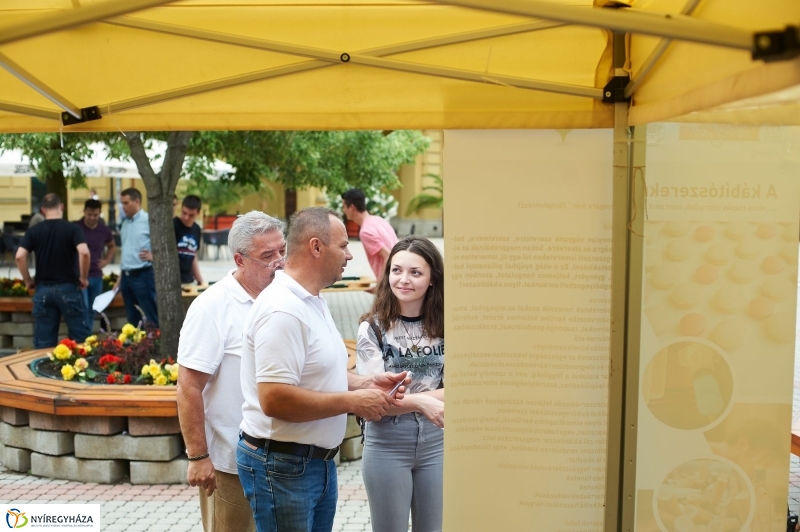 Drogprevenciós nap Nyíregyházán - fotó Szarka Lajos
