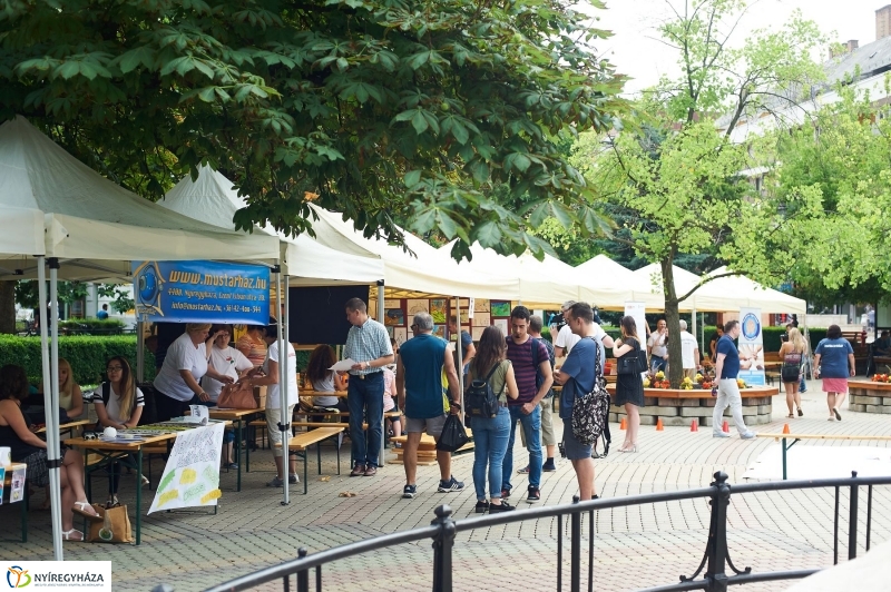 Drogprevenciós nap Nyíregyházán - fotó Szarka Lajos
