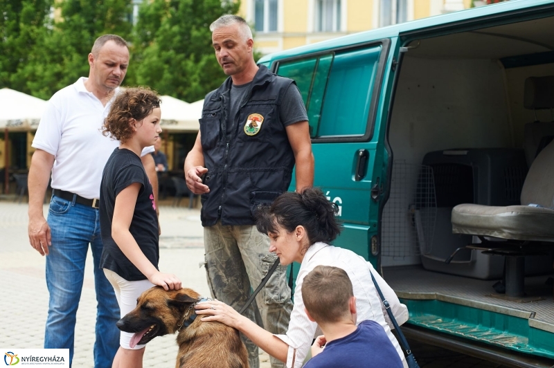 Drogprevenciós nap Nyíregyházán - fotó Szarka Lajos