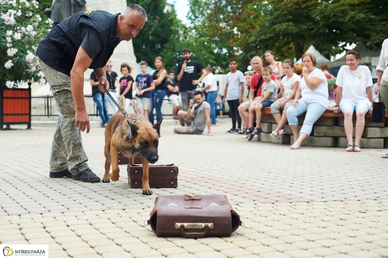 Drogprevenciós nap Nyíregyházán - fotó Szarka Lajos