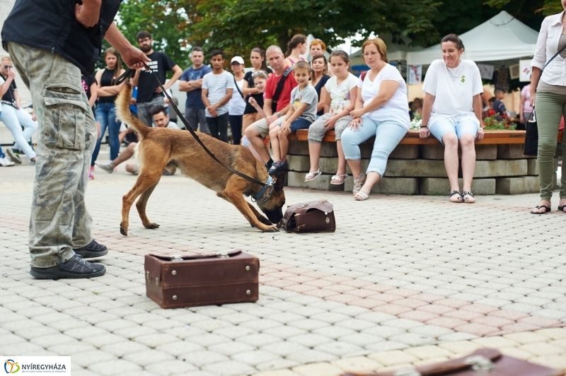 Drogprevenciós nap Nyíregyházán - fotó Szarka Lajos