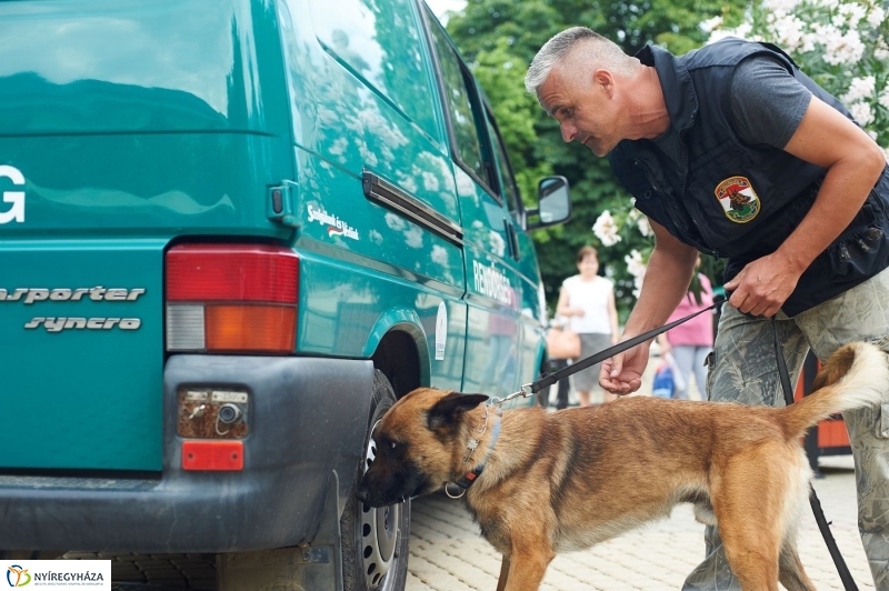 Drogprevenciós nap Nyíregyházán - fotó Szarka Lajos
