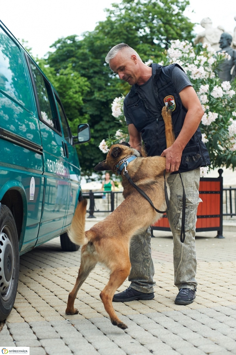 Drogprevenciós nap Nyíregyházán - fotó Szarka Lajos