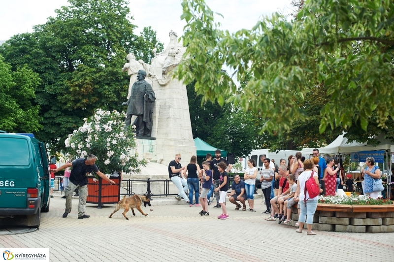 Drogprevenciós nap Nyíregyházán - fotó Szarka Lajos