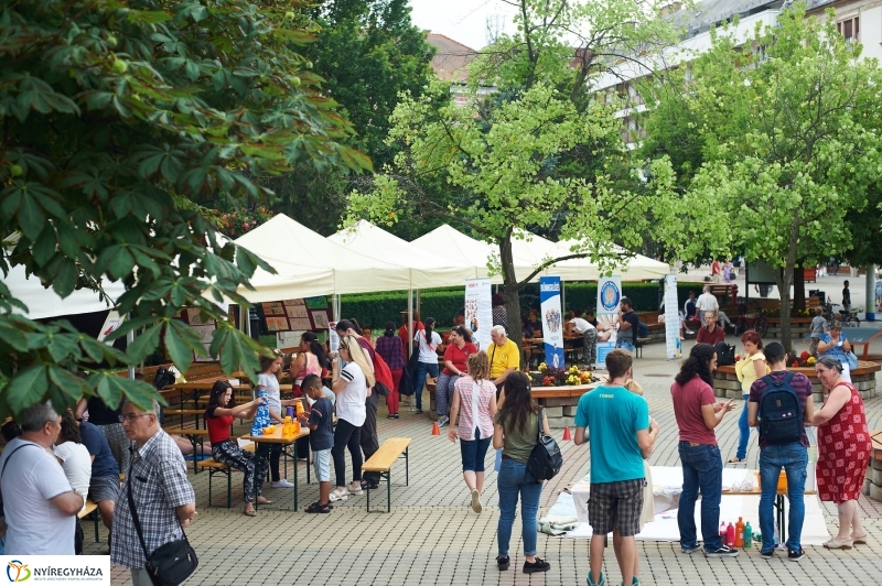 Drogprevenciós nap Nyíregyházán - fotó Szarka Lajos