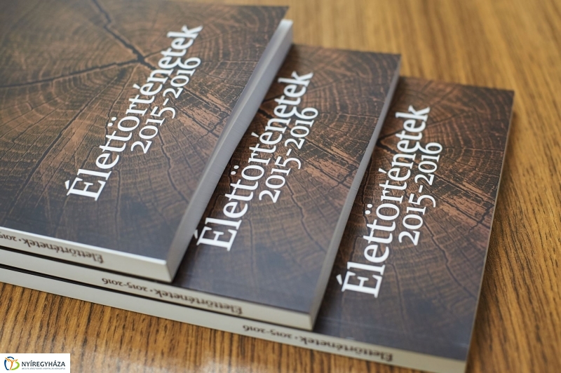 Idősügyi Tanács 20170627 - fotó Szarka Lajos