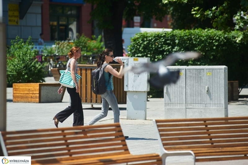 Kánikula, vízosztás - fotó Szarka Lajos