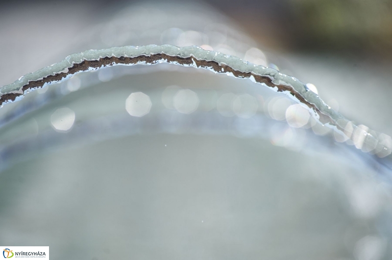 Kánikula, vízosztás - fotó Szarka Lajos