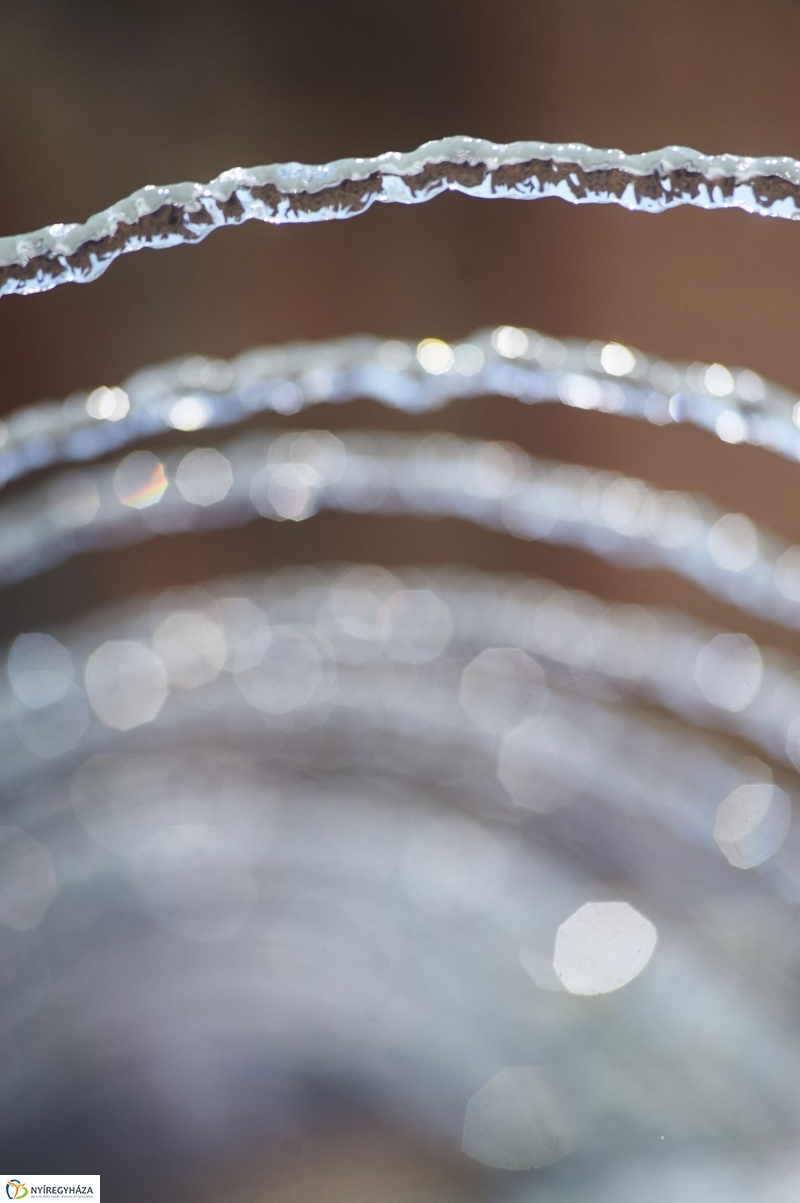 Kánikula, vízosztás - fotó Szarka Lajos