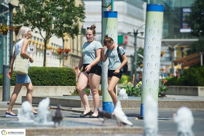 Kánikula, vízosztás - fotó Szarka Lajos