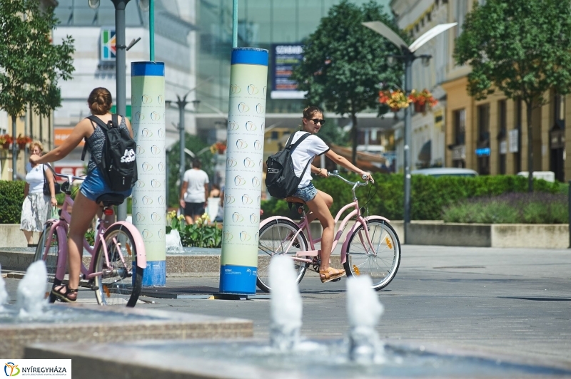 Kánikula, vízosztás - fotó Szarka Lajos