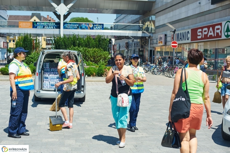 Kánikula, vízosztás - fotó Szarka Lajos