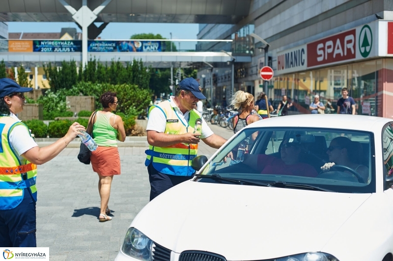 Kánikula, vízosztás - fotó Szarka Lajos