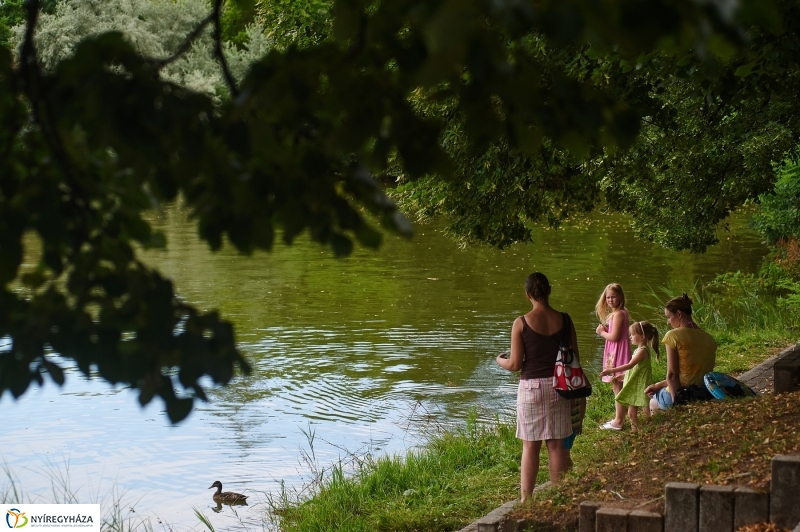 Dallamos Sóstó - fotó Szarka Lajos