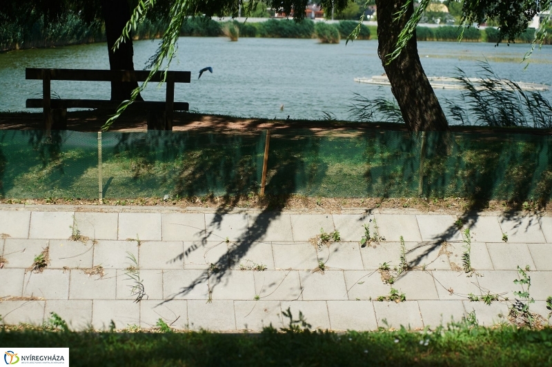 Védőháló a Bujtoson - fotó Szarka Lajos