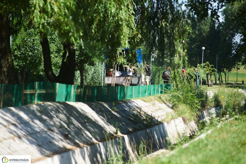 Védőháló a Bujtoson - fotó Szarka Lajos