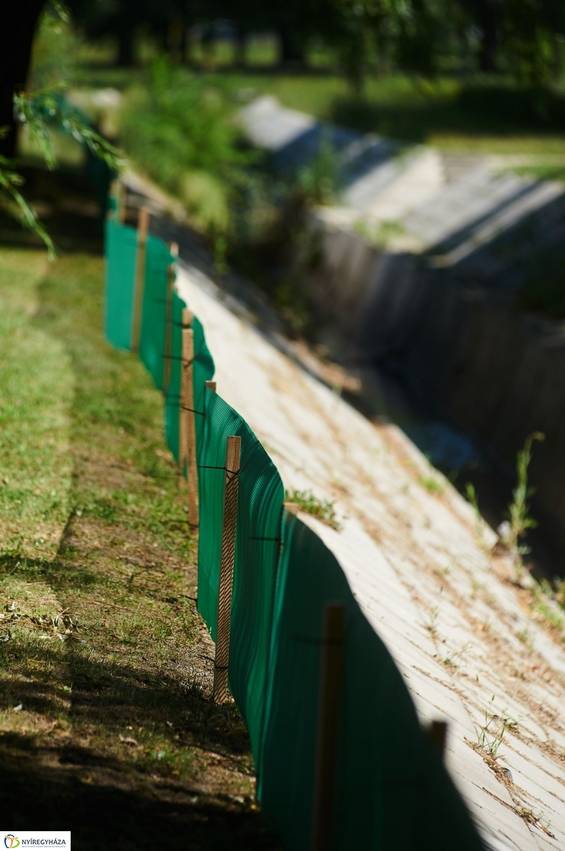 Védőháló a Bujtoson - fotó Szarka Lajos