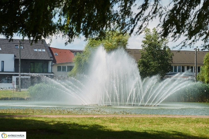 Védőháló a Bujtoson - fotó Szarka Lajos