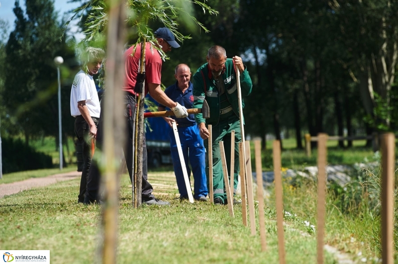 Védőháló a Bujtoson - fotó Szarka Lajos
