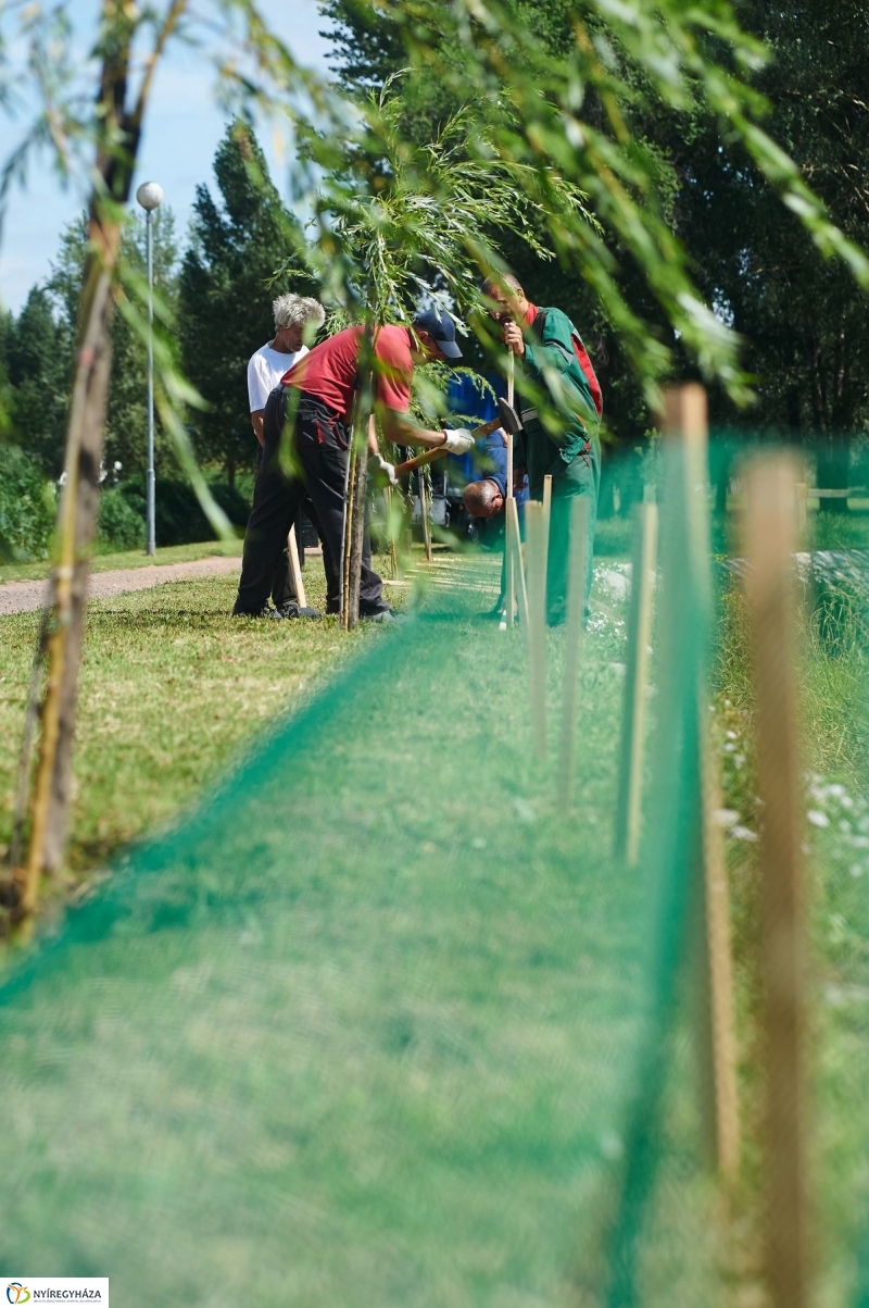 Védőháló a Bujtoson - fotó Szarka Lajos