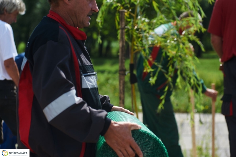 Védőháló a Bujtoson - fotó Szarka Lajos