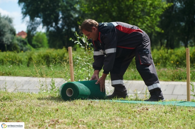 Védőháló a Bujtoson - fotó Szarka Lajos