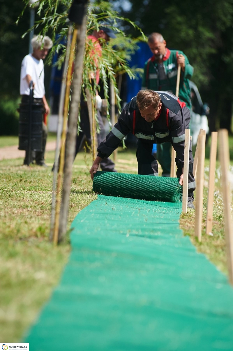 Védőháló a Bujtoson - fotó Szarka Lajos