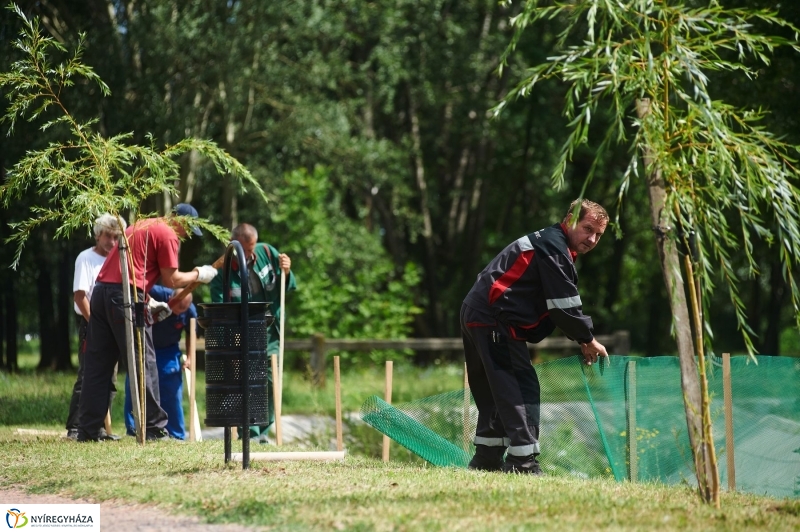 Védőháló a Bujtoson - fotó Szarka Lajos