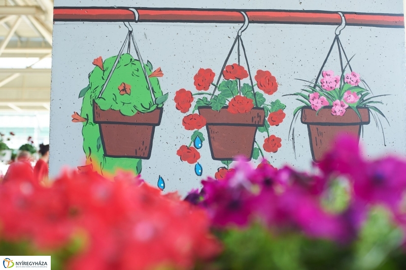 Művészi zöldségek és gyümölcsök a piacon - fotó Szarka Lajos