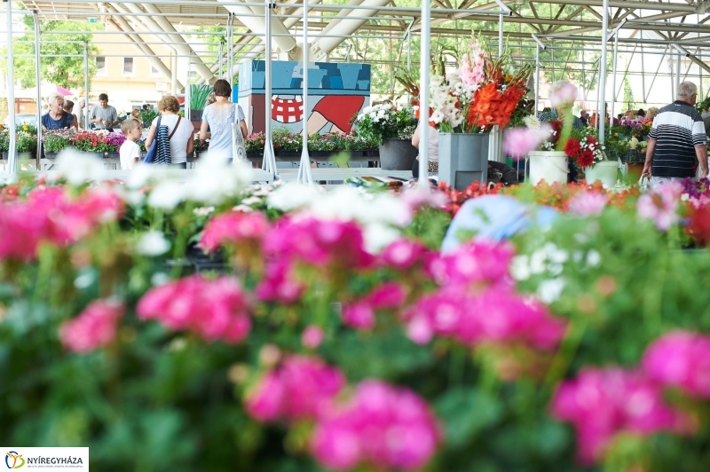 Művészi zöldségek és gyümölcsök a piacon - fotó Szarka Lajos