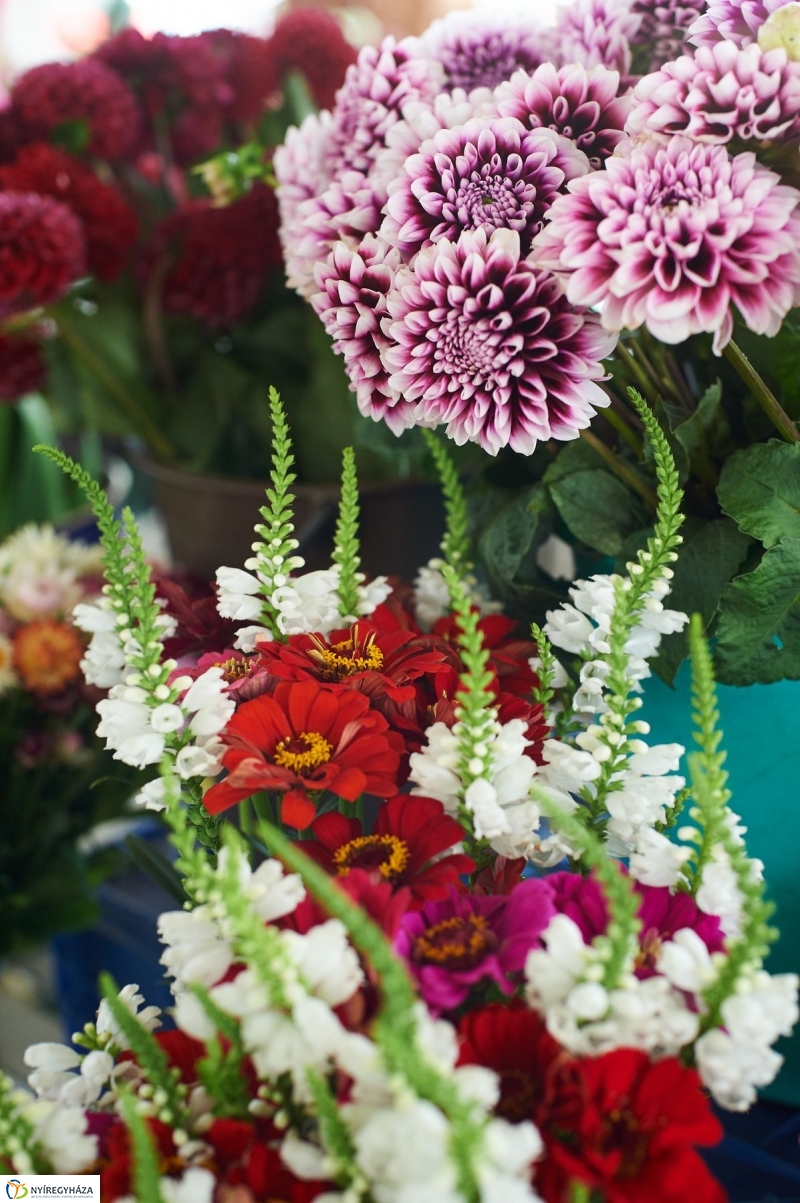 Művészi zöldségek és gyümölcsök a piacon - fotó Szarka Lajos