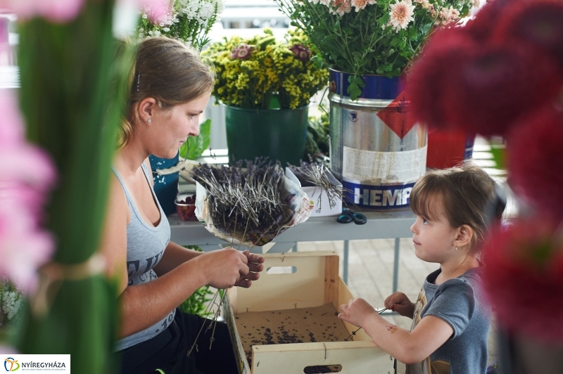 Művészi zöldségek és gyümölcsök a piacon - fotó Szarka Lajos