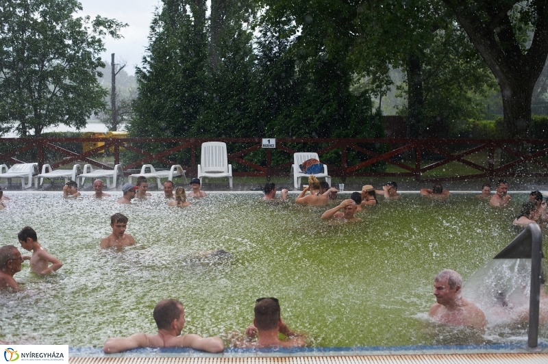 Vizes Tófürdő - fotó Szarka Lajos