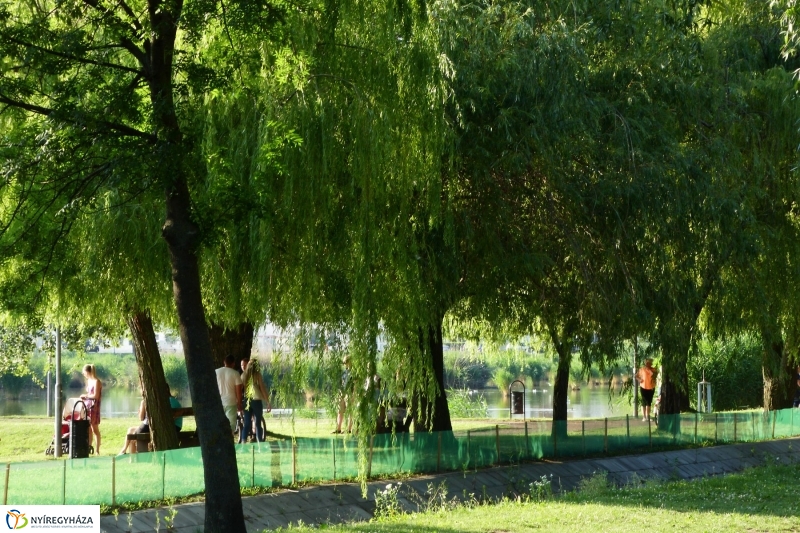 Vasárnap délután a Bujtoson- fotó Szarka Lajos